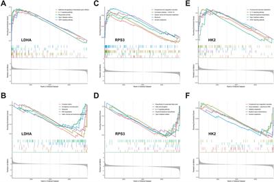 Integrating bioinformatics and multiple machine learning to identify mitophagy-related targets for the diagnosis and treatment of diabetic foot ulcers: evidence from transcriptome analysis and drug docking